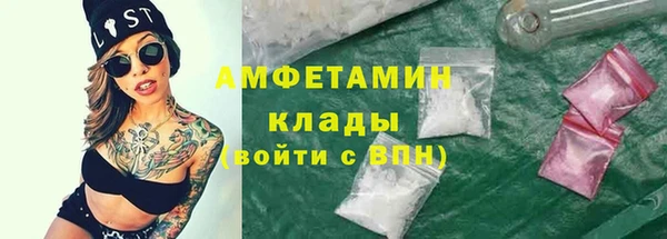 шишки Балахна