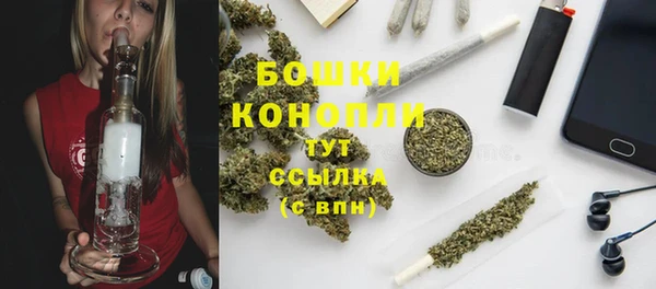 шишки Балахна