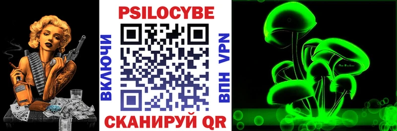 Псилоцибиновые грибы Magic Shrooms  как найти   блэк спрут онион  Ногинск 